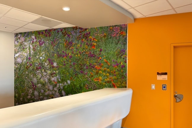 Permian Basin Behavioral Health Center: Interior Wayfinding Supergraphics WSG